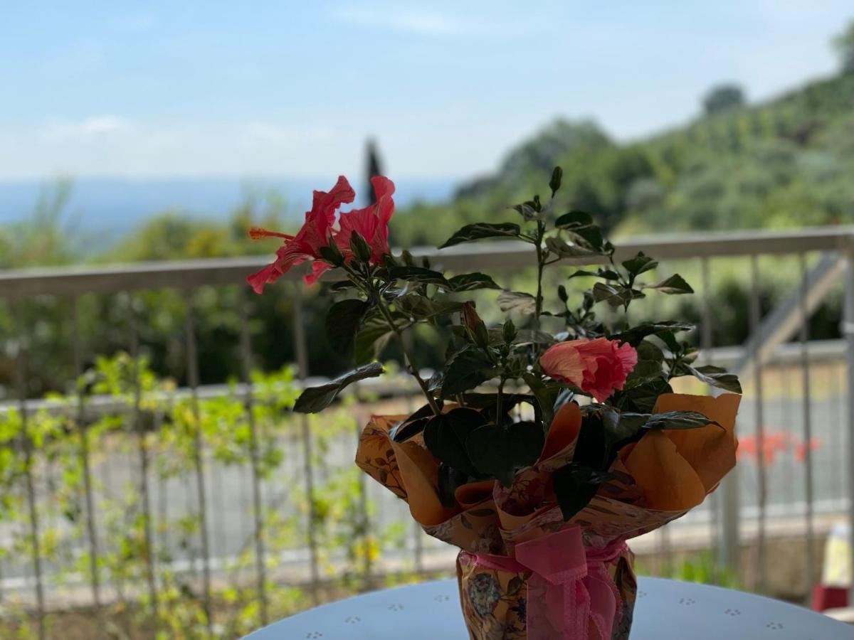 A Casa Di Silvia Apartment Гамбаси Терме Екстериор снимка