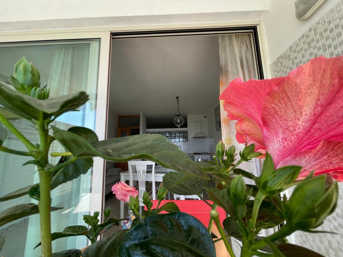 A Casa Di Silvia Apartment Гамбаси Терме Екстериор снимка